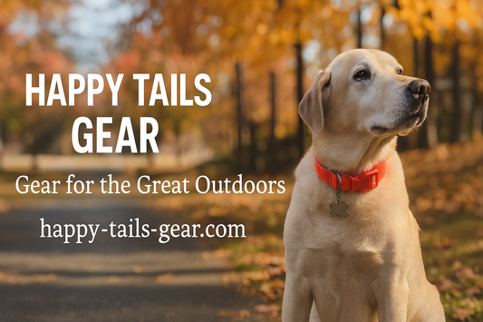 🐾 10 Essential Summer Pet Care Tips to Keep Your Dog Safe & Happy in 2025