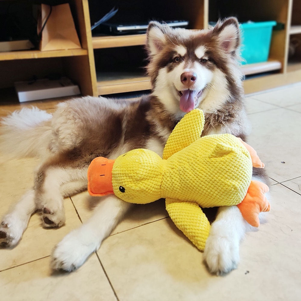 Bite-Resistant Dog Plush Toy